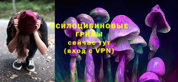 ГАЛЛЮЦИНОГЕННЫЕ ГРИБЫ Волоколамск