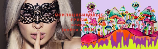 бошки Верея