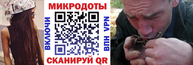 Купить где Берёзовский Галлюциногенные грибы Psilocybine cubensis